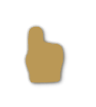Bronze tier badge