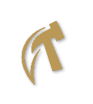 Bronze tier badge
