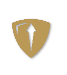 Bronze tier badge