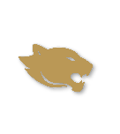 Bronze tier badge