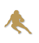 Bronze tier badge