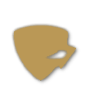 Bronze tier badge