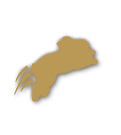 Bronze tier badge