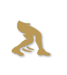 Bronze tier badge