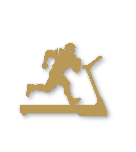 Bronze tier badge