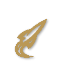 Bronze tier badge