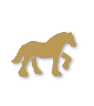 Bronze tier badge