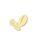 Gold tier badge