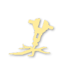 Gold tier badge