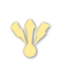Gold tier badge