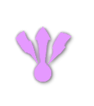 Platinum tier badge