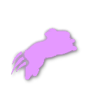 Platinum tier badge
