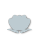 Silver tier badge