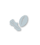 Silver tier badge