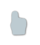 Silver tier badge