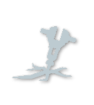 Silver tier badge