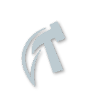 Silver tier badge