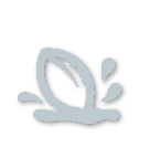 Silver tier badge