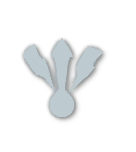 Silver tier badge