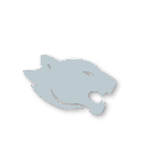 Silver tier badge