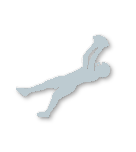 Silver tier badge