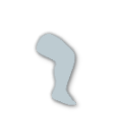 Silver tier badge