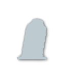 Silver tier badge