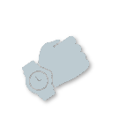 Silver tier badge