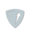 Silver tier badge