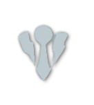 Silver tier badge