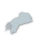 Silver tier badge