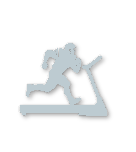 Silver tier badge