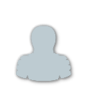 Silver tier badge