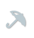 Silver tier badge