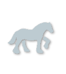 Silver tier badge