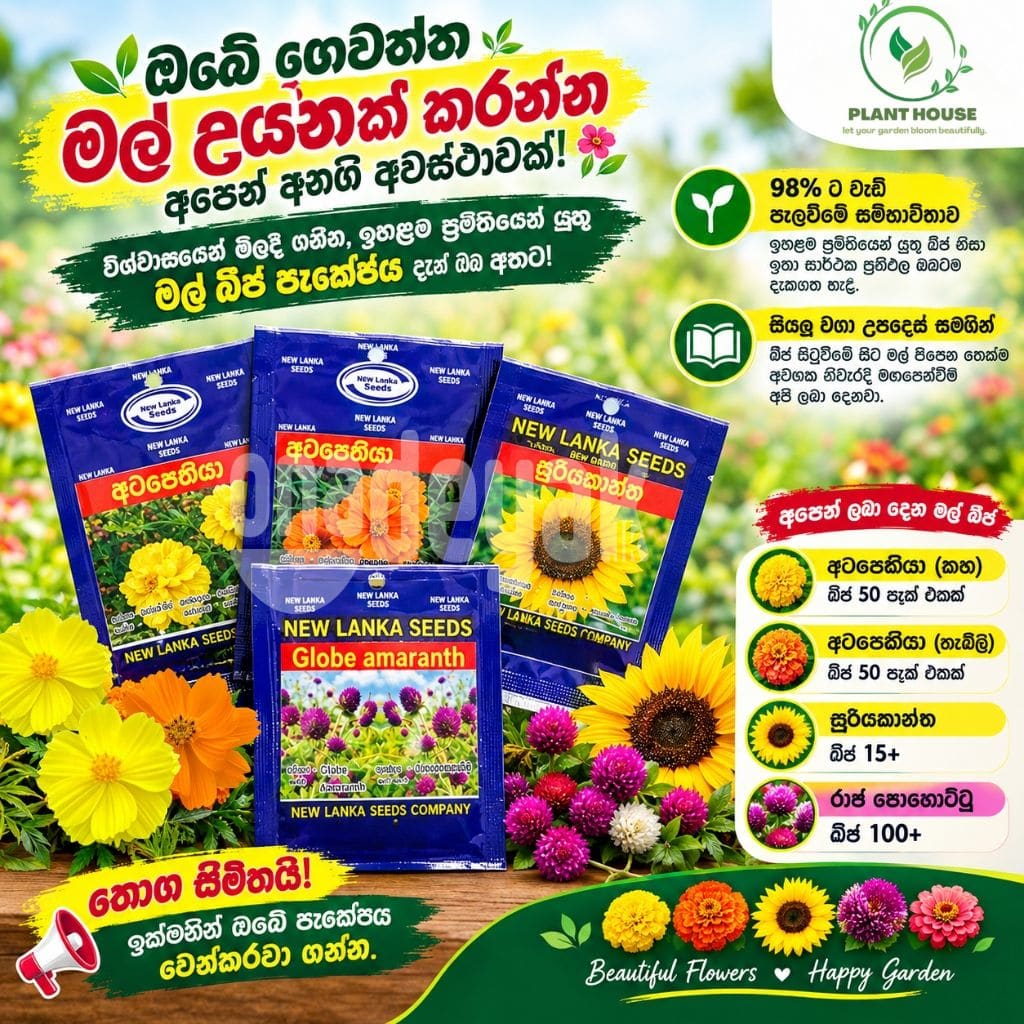 අටපෙතියාසූරියකාන්ත/රාජ පොහොට්ටු බීජ