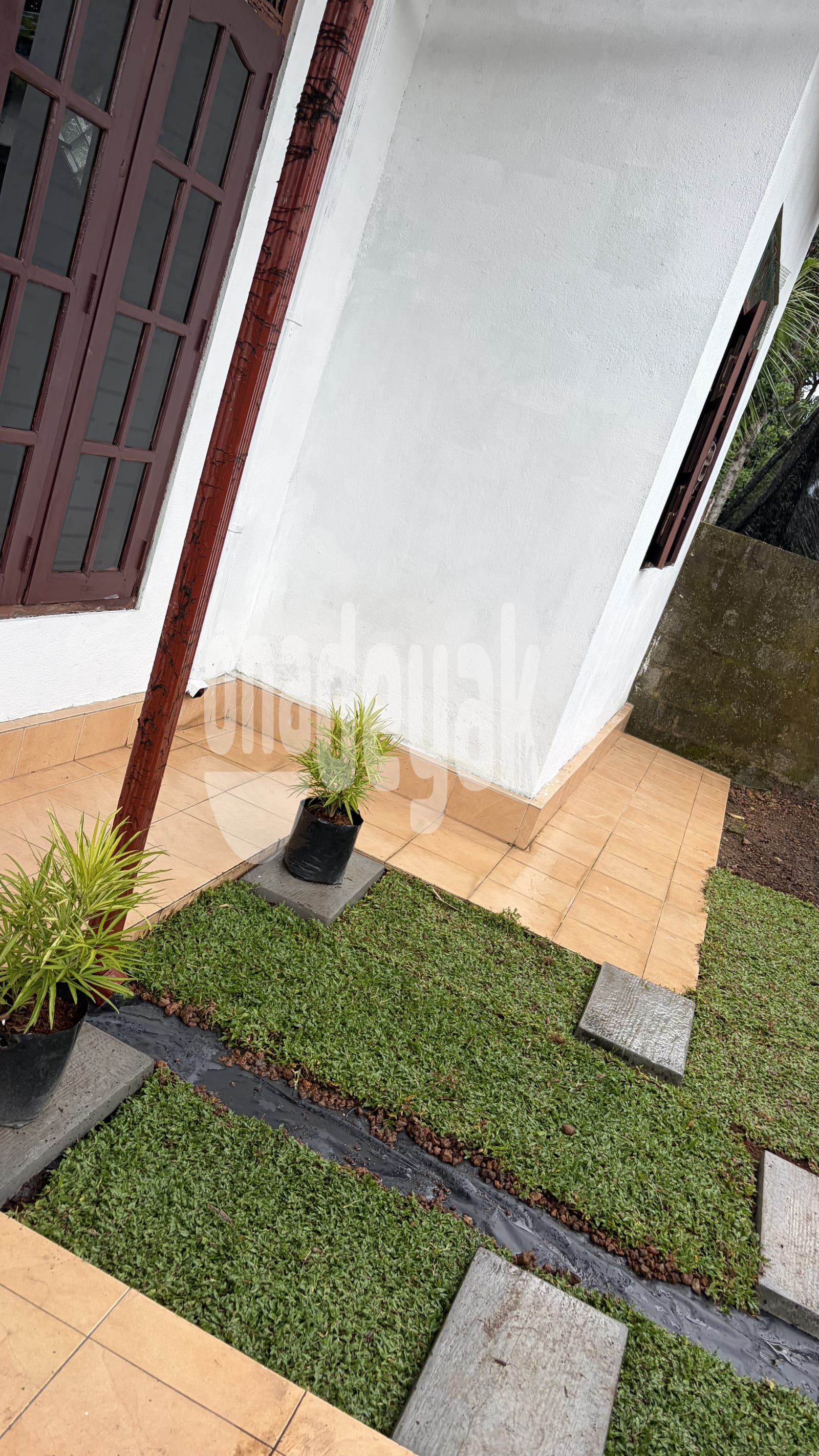 Houses for Sale