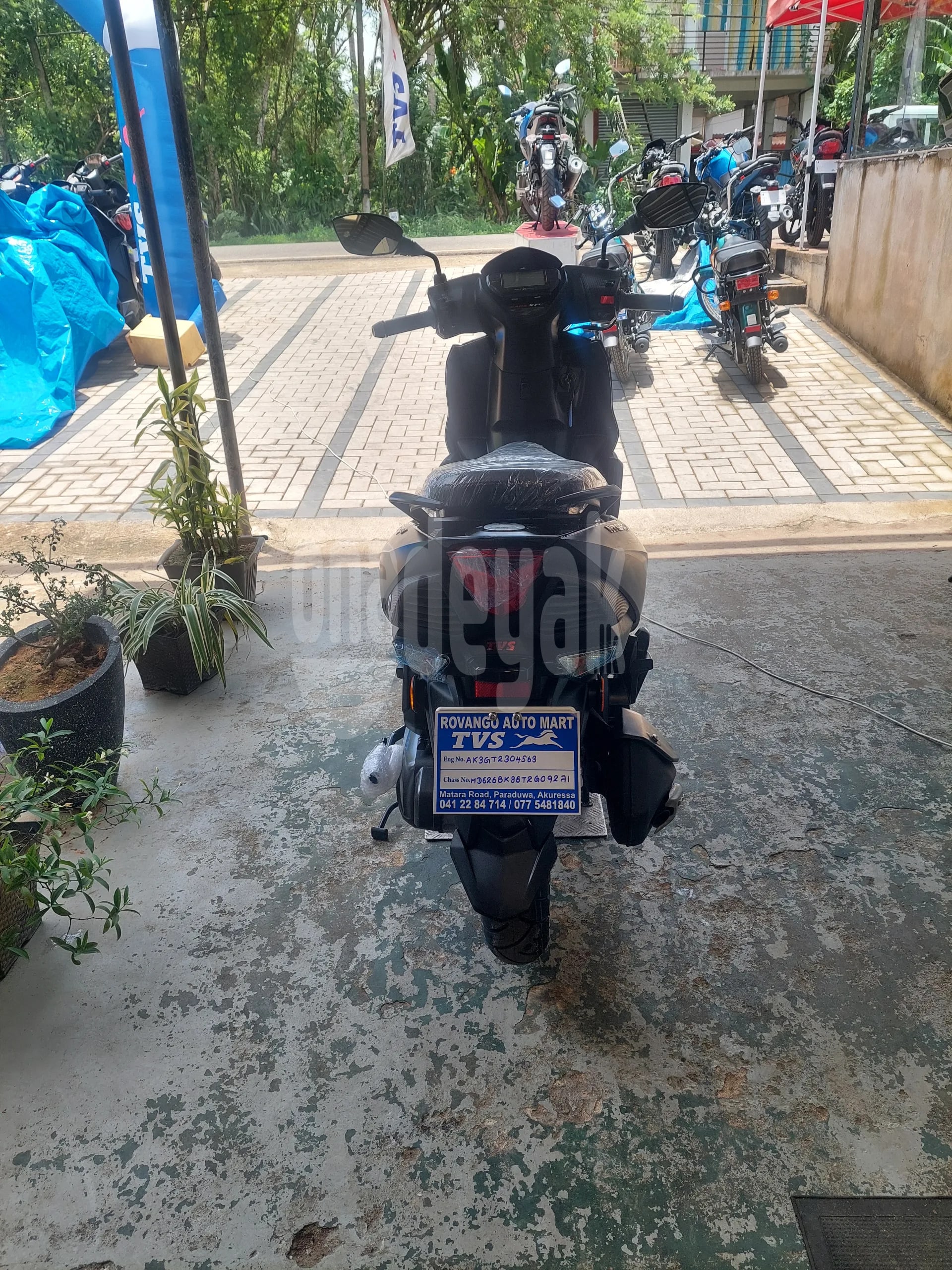 TVS Ntorq 2026 2