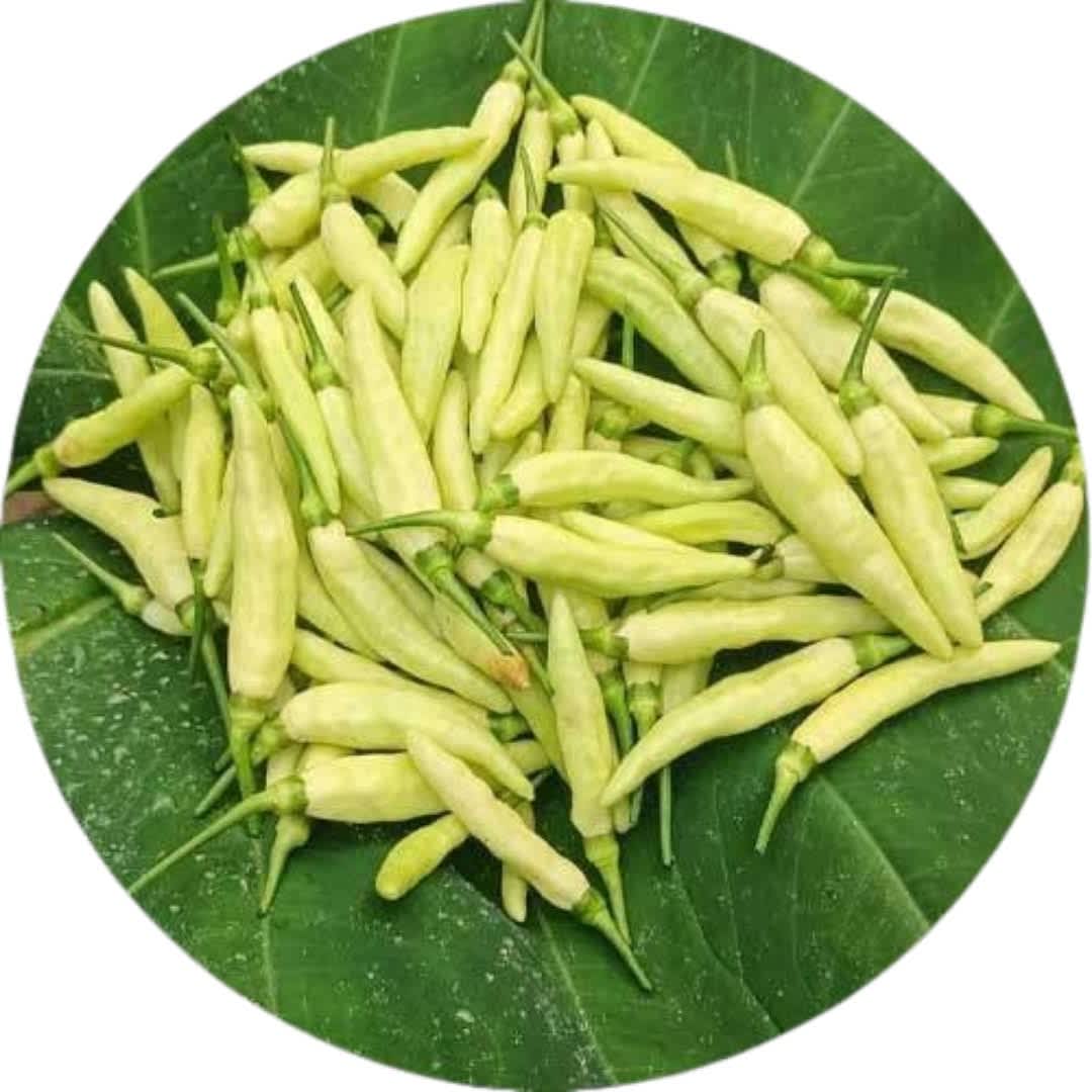 සුදු කොච්චි (Sudu Kochchi) - 0.5g 3