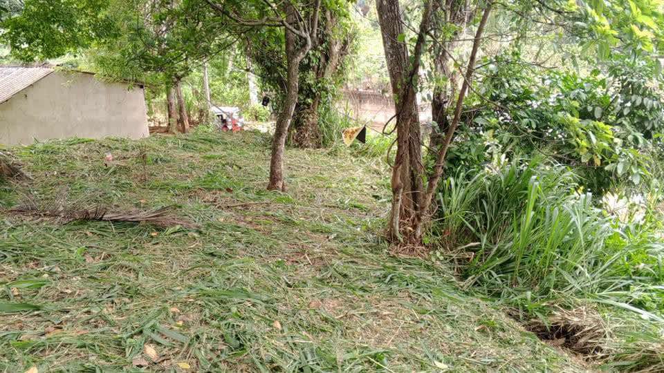 Land sale 1