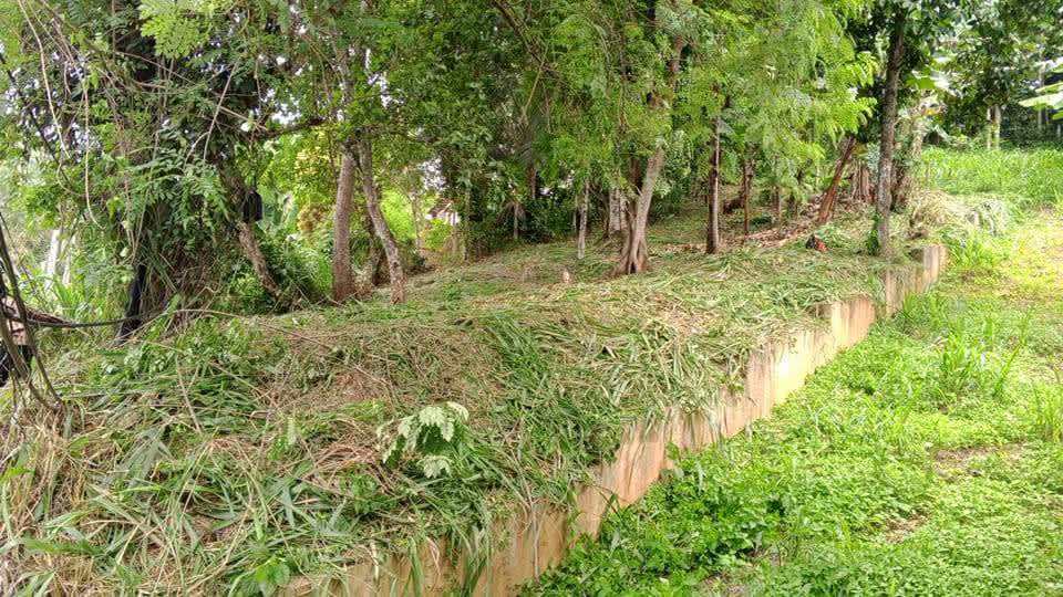 Land sale 5