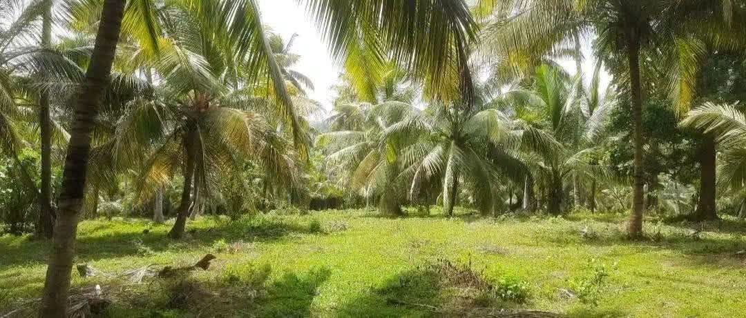 Land for sale kurunegala 1