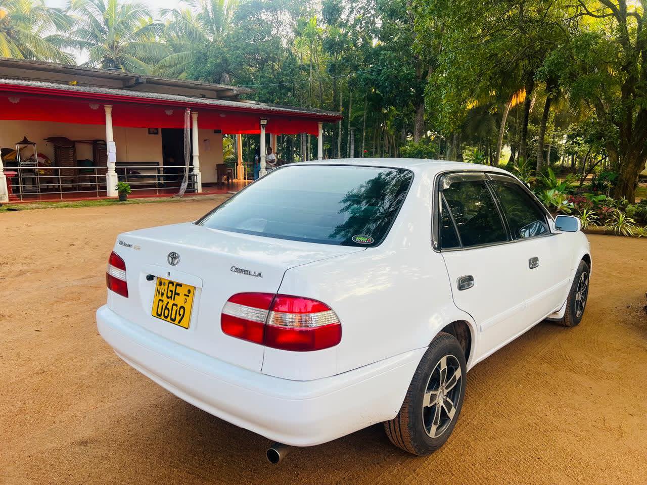 Toyota Corolla 1997 4