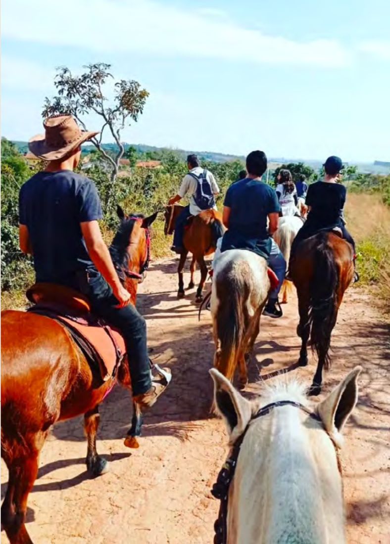 Passeios a Cavalo