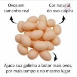 Ovos de Plástico; Kit 12 Ovinhos Caipira; Ovo; Brincadeira; Galinha; Indez