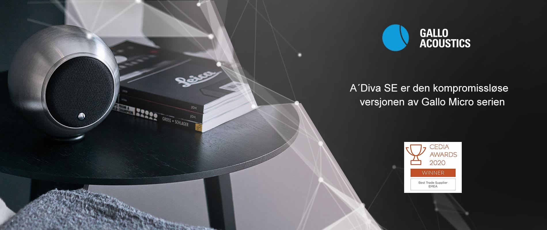 Gallo Acoustics A'Diva SE