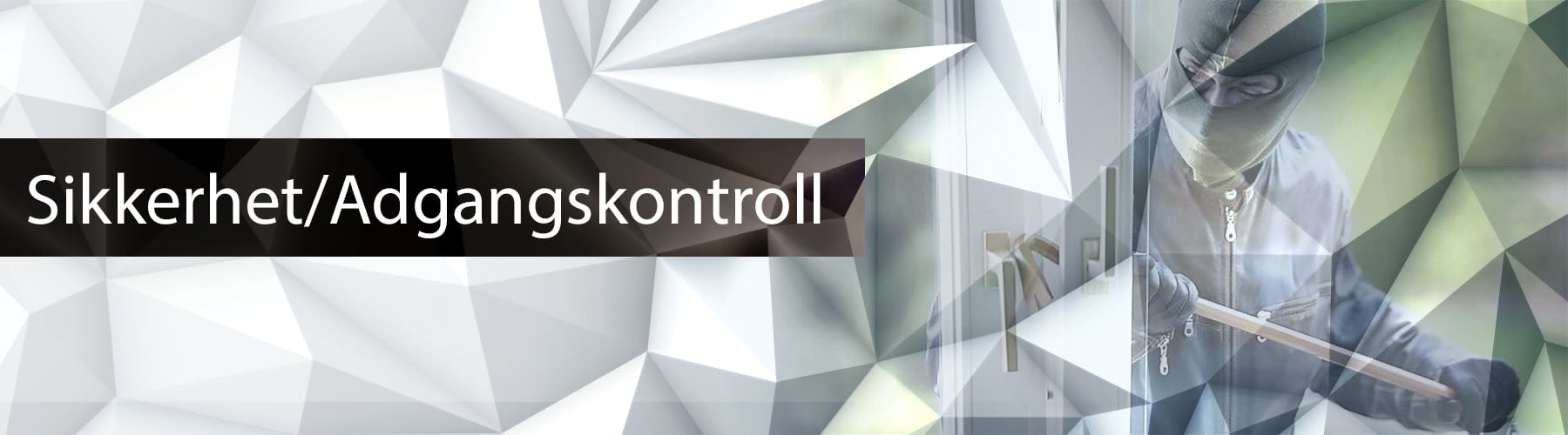 Sikkerhet / Adgangskontroll