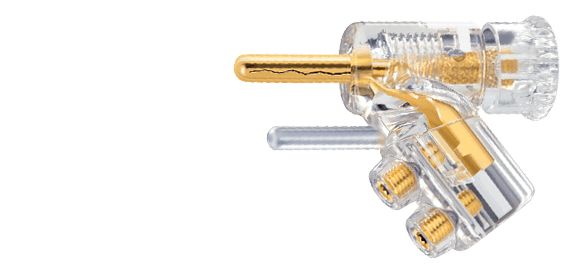 Kimber Select WBT terminering