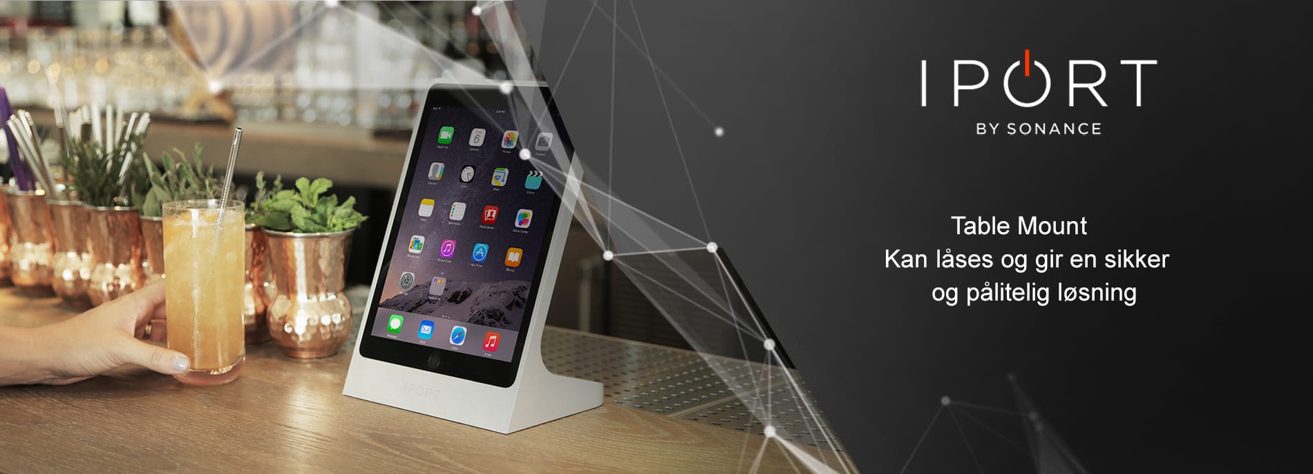 iPort Table Mount