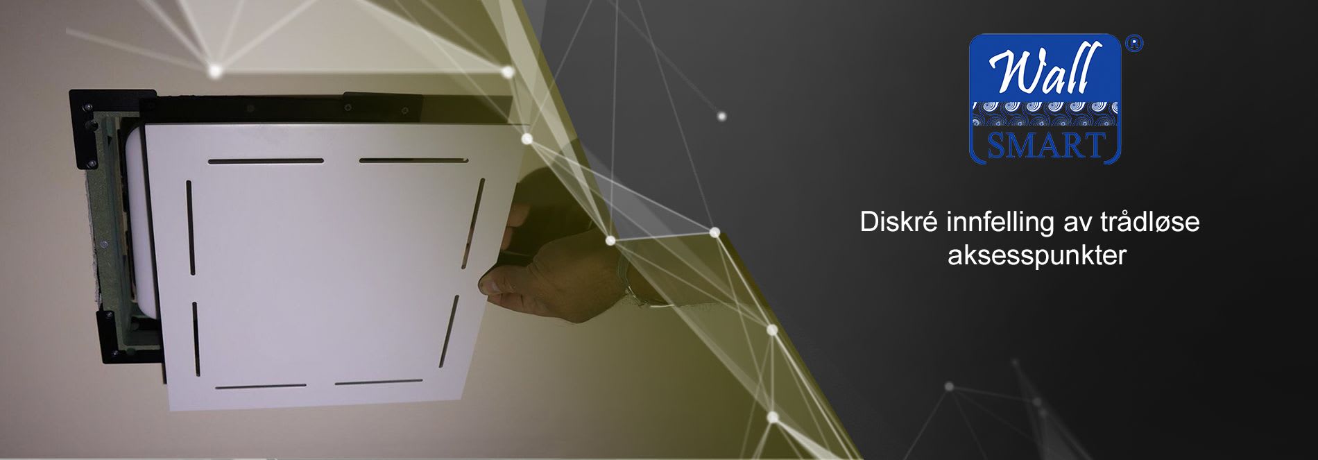 Wall-Smart - Access Point